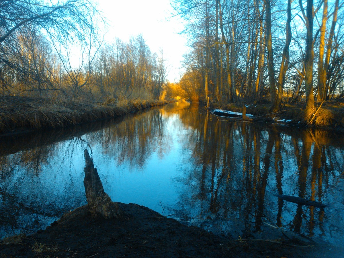 WP_001235