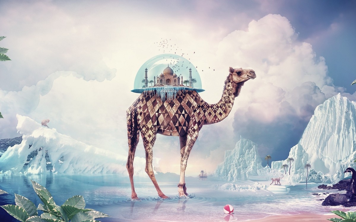 Tajmahal-on-camel-3D-world-wonders
