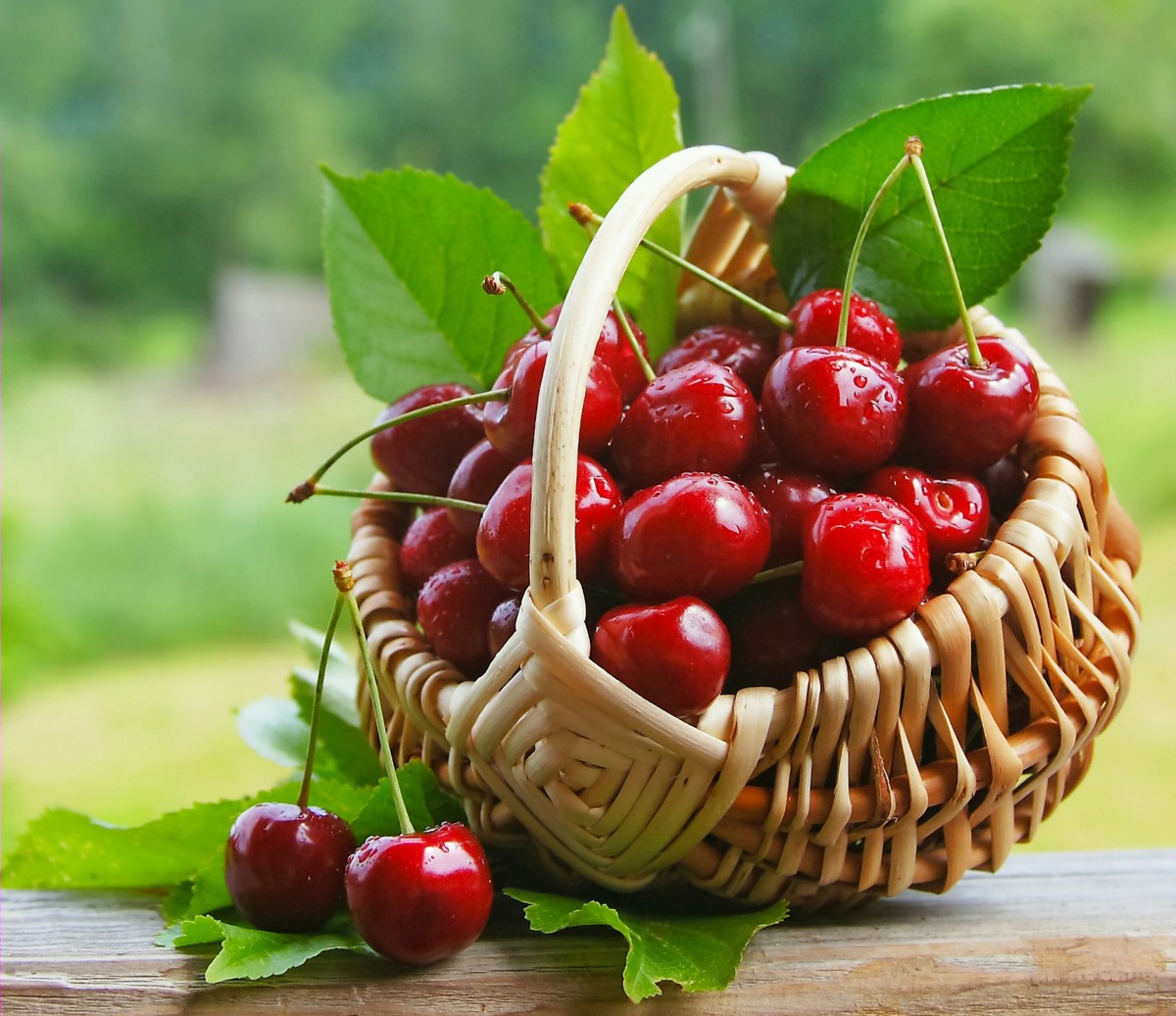 Fruit