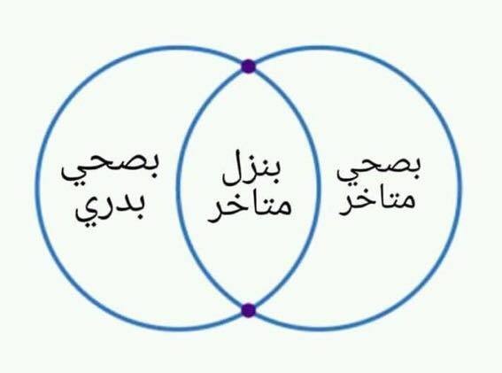 58381676_2303301123283078_4263002418511347712_n