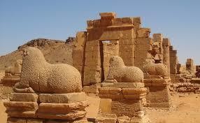 images__25_
