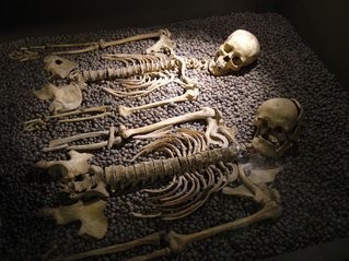 skeletons-in-bed-1403270