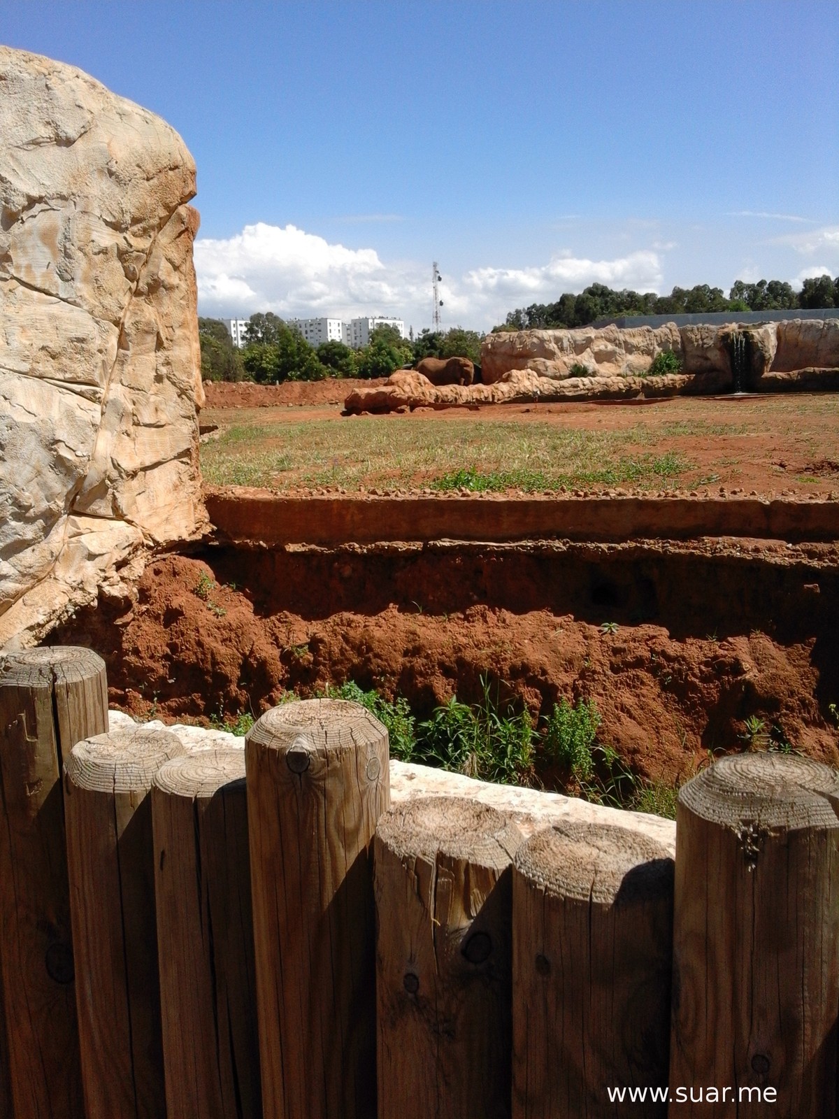 فيل وبنايات :)