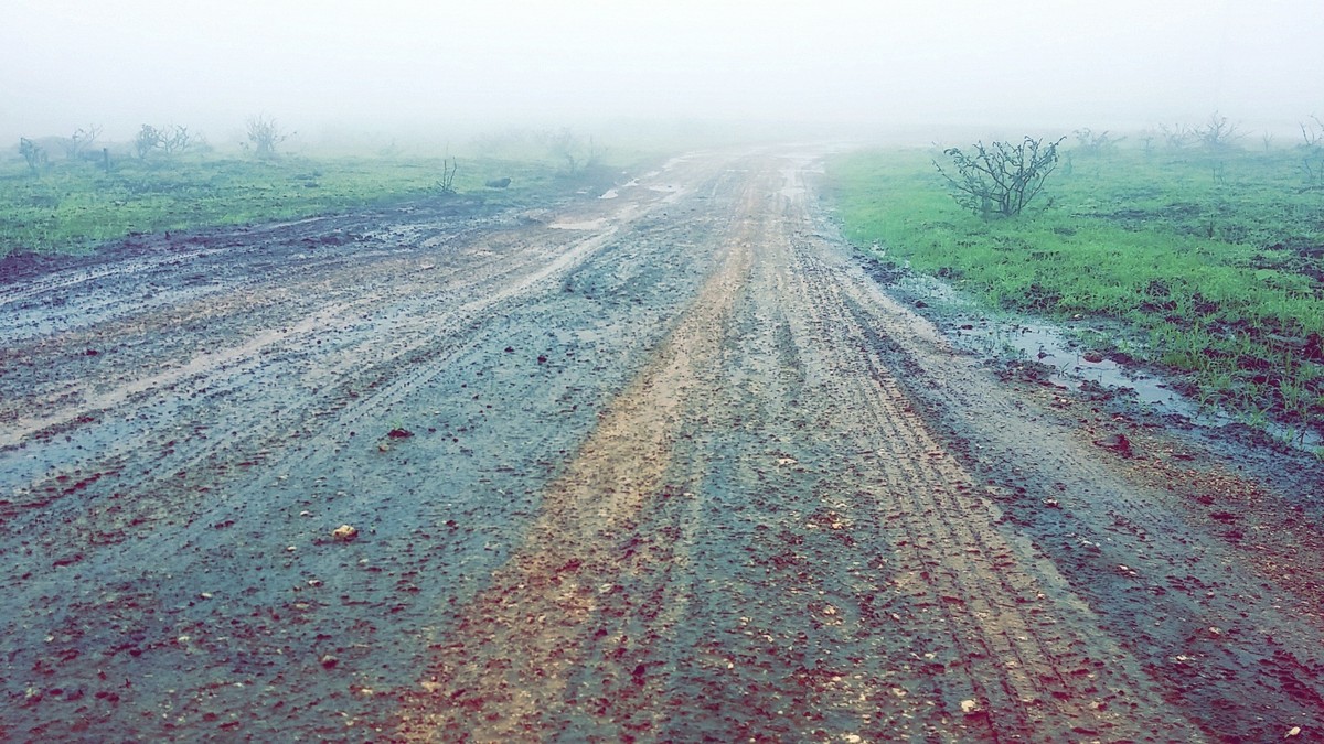 Snapchat-7012941273913609098