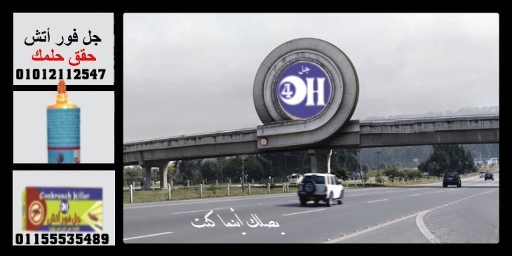 طريقك لمكان خالى من الحشرات