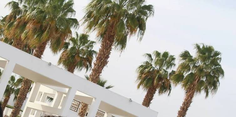 17577653_10212543066511255_535795519_n