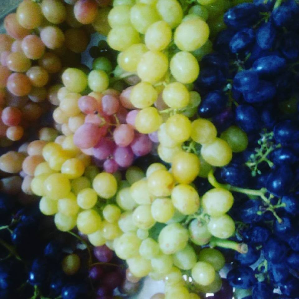 20246313_10212195318429744_1551233945333186230_n