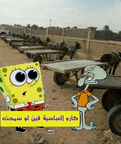 كارو