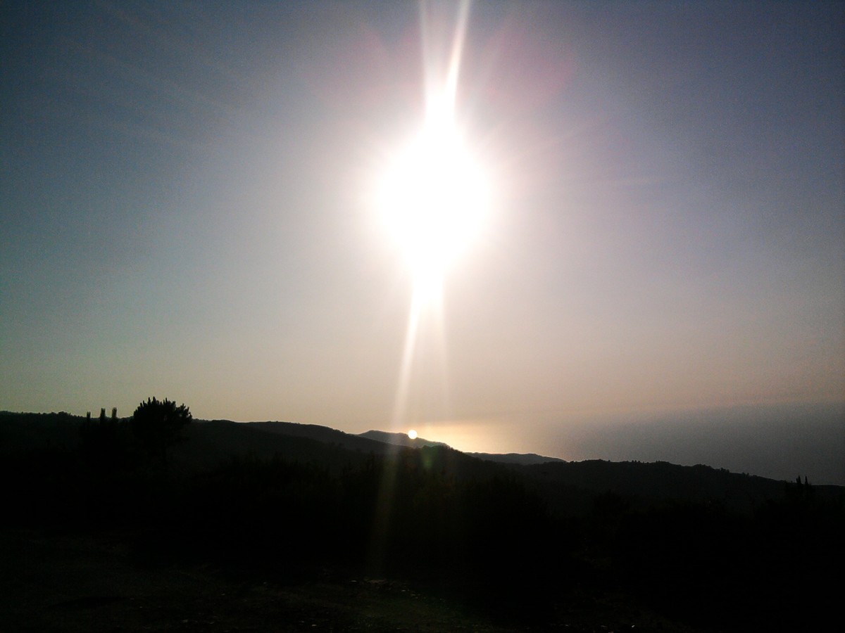 Photo01652
