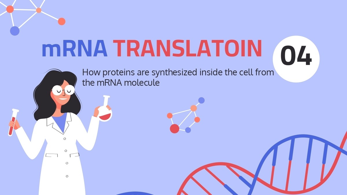 Central_dogma___Protein_synthesis_page-0018
