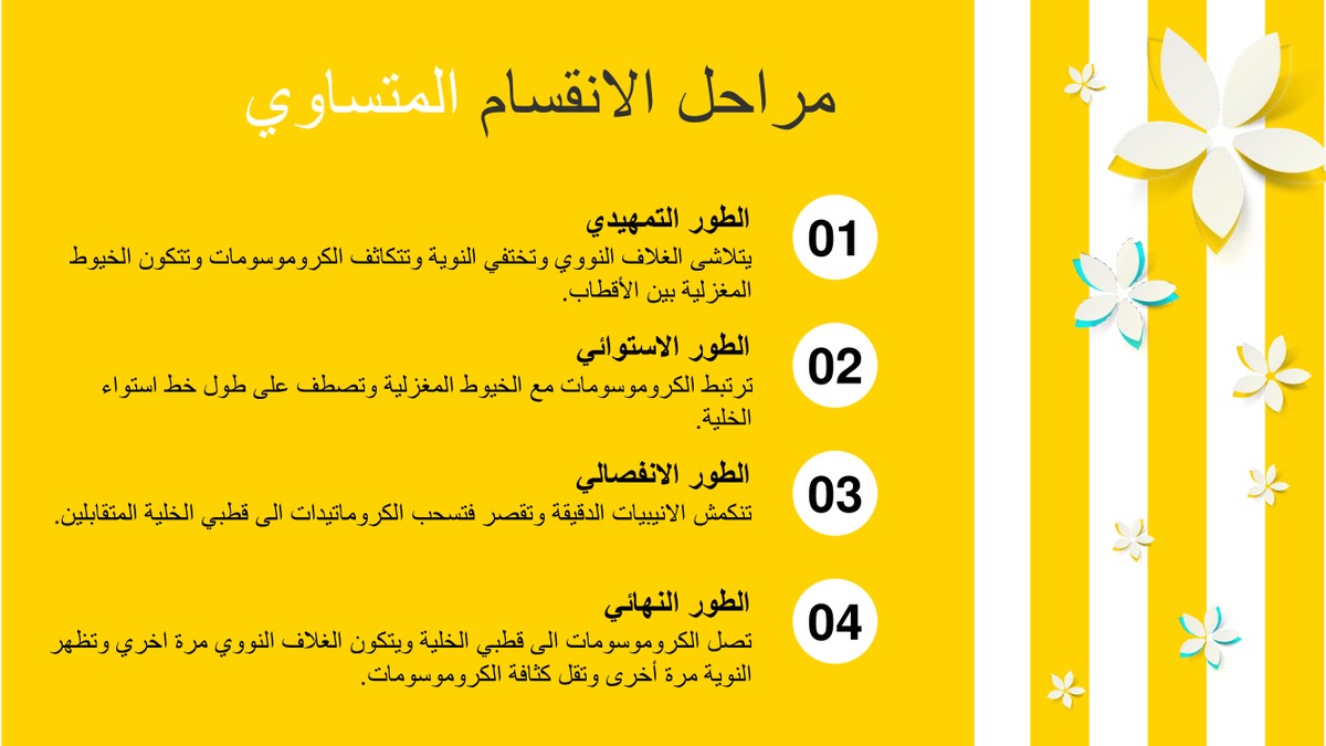 2c35ee775c1be0f5abbaa40beb9a6ef6-4