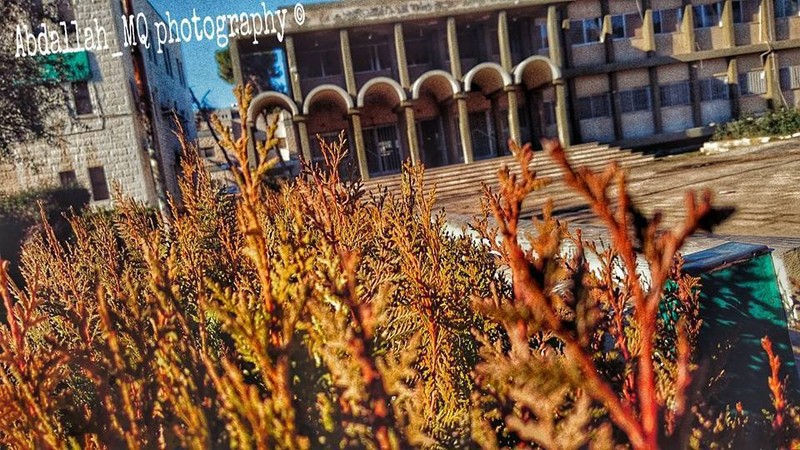 12509776_736903643078032_3498538395798874612_n