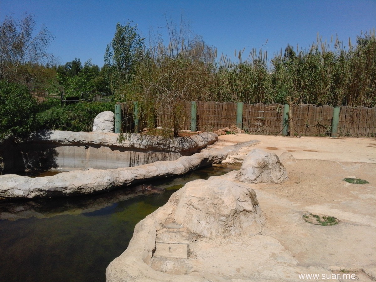 ابحث عن فرس النهر في الصورة :)