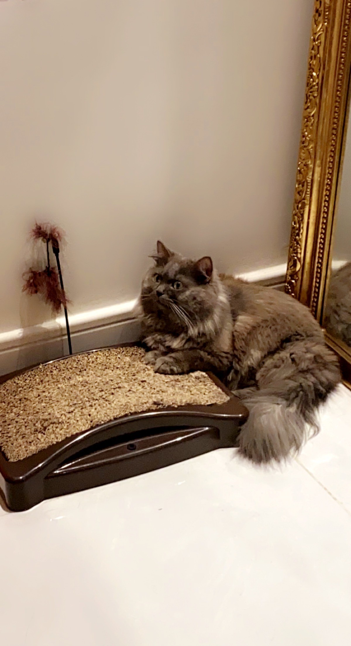 5FCF9F7A-DD21-48A4-A57C-FAE6E8309AE1