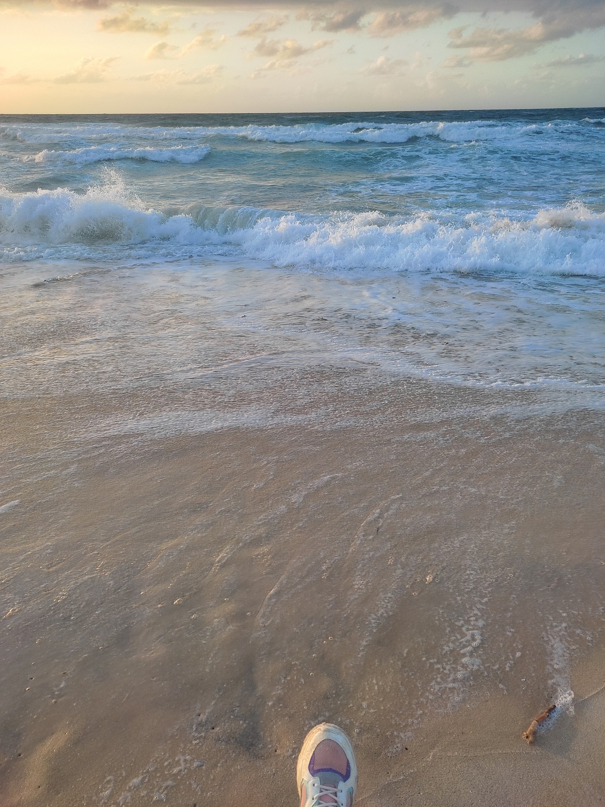 IMG_٢٠٢٢٠٢٠٩_١٦٥٩٣٧