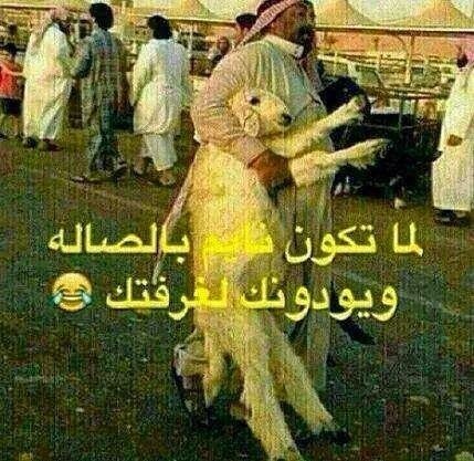 429x417x10675765_894812823871091_9204218294574296660_n.jpg.pagespeed.ic.5X3fR3qodS