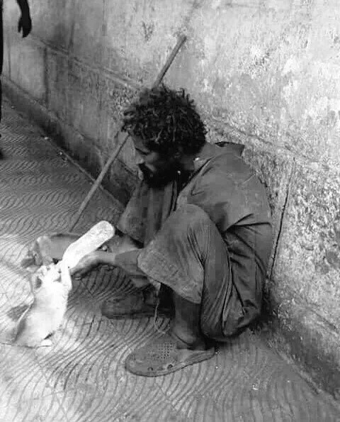 IMG_٢٠١٦٠٣١١_٢٢٠٩١٥