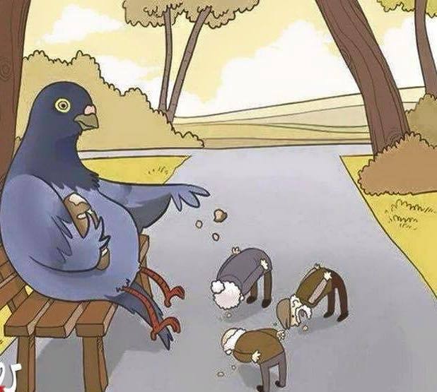 اطعام البشر :)