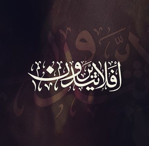 14591807_347396928927690_3512910270329600840_n