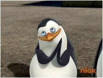 awww-so-cute-private-the-penguin-21453917-426-324