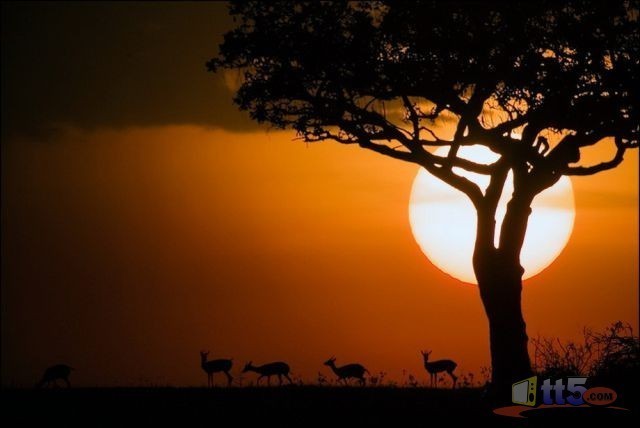 world-pictures-nature-new-45