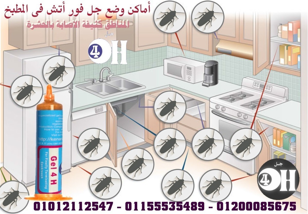 أمكان وضع جل فور اتش