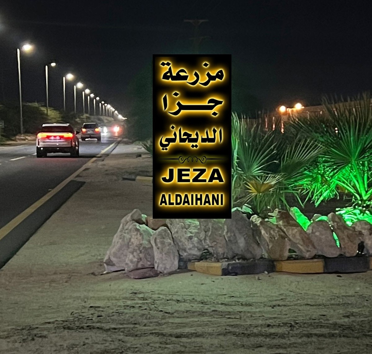 WhatsApp_Image_2024-12-03_at_9.03.16_PM