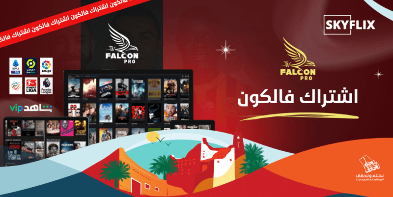 تعرف على موقع Skyflixes منصة ترفيهية بامتياز M