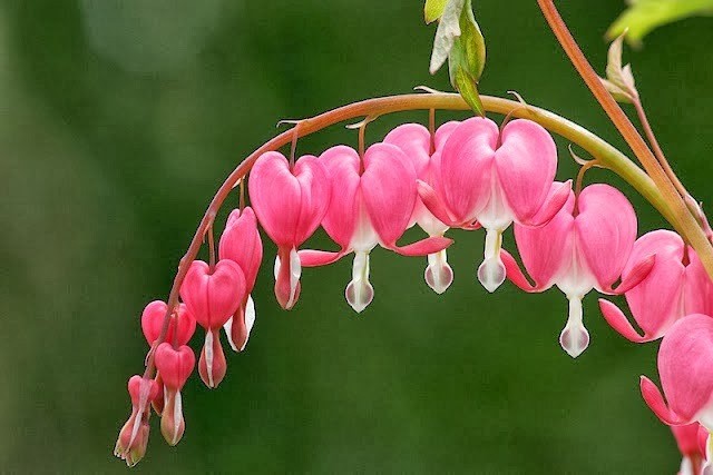 img_girls-ly1394889572_455