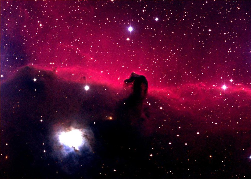 horsehead