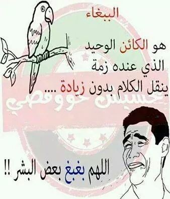 FB_IMG_1417658242940