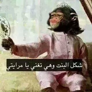 FB_IMG_1418300165911__1_