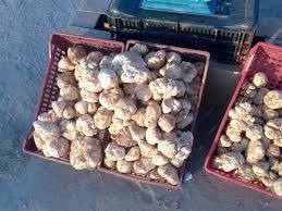 12814431_978989732180826_2849133676236775681_n