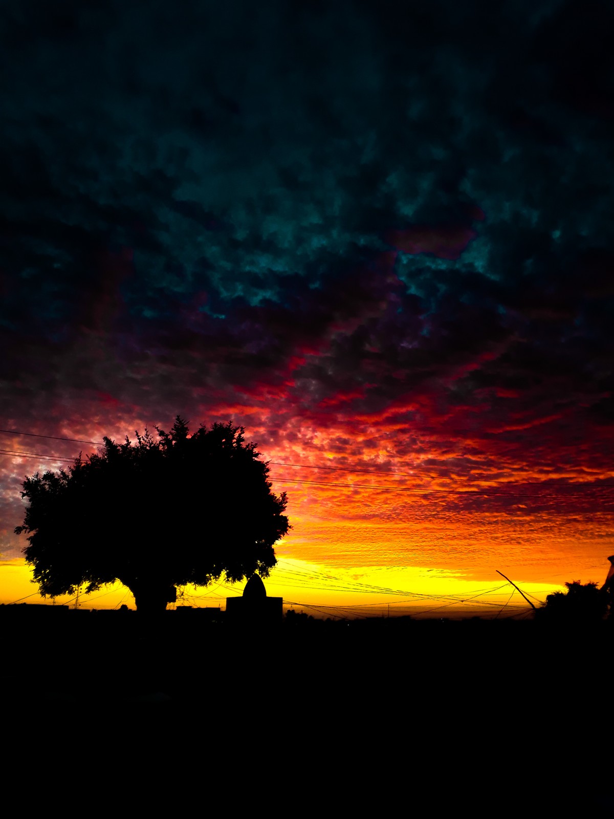 ٢٠٢٠١٢٢٢_١٧٠٣٣٩