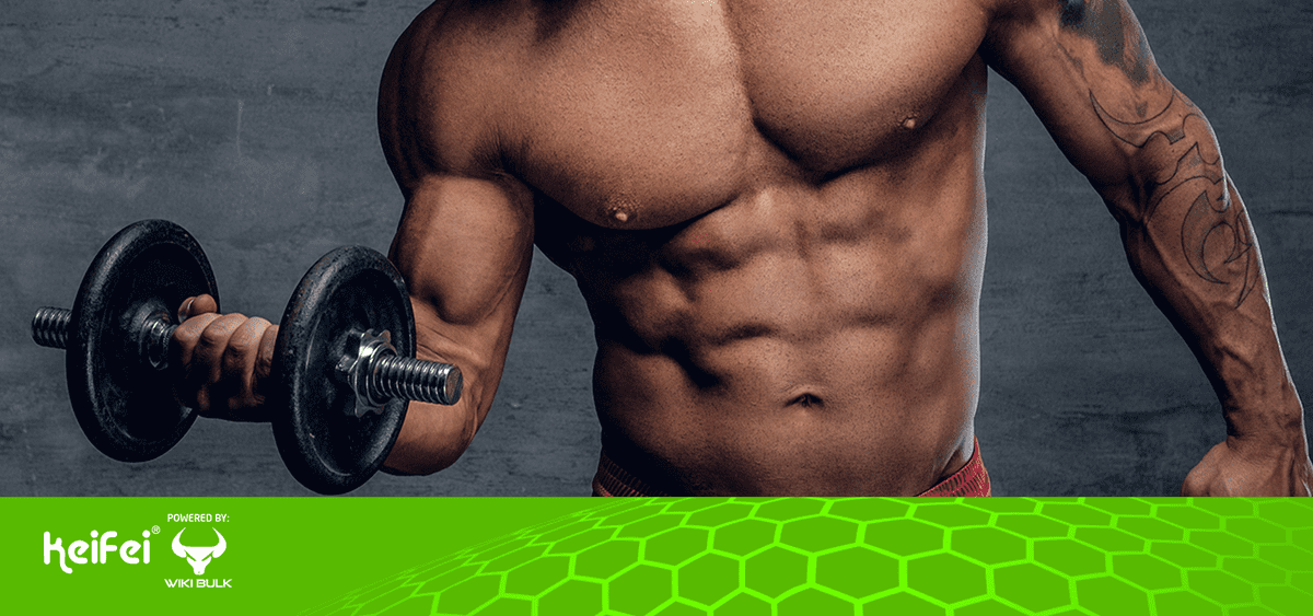 Maximize Your Muscles Exploring World