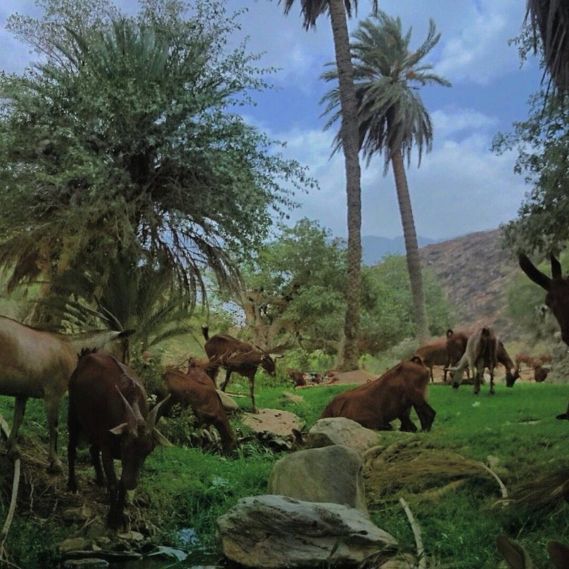 10805243_1523361524576813_1356417964_n