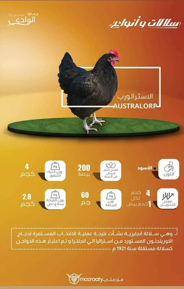 FB_IMG_1550854327525