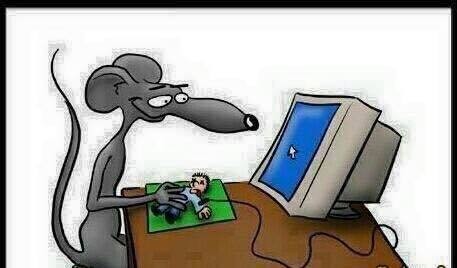 فارة الحاسوب