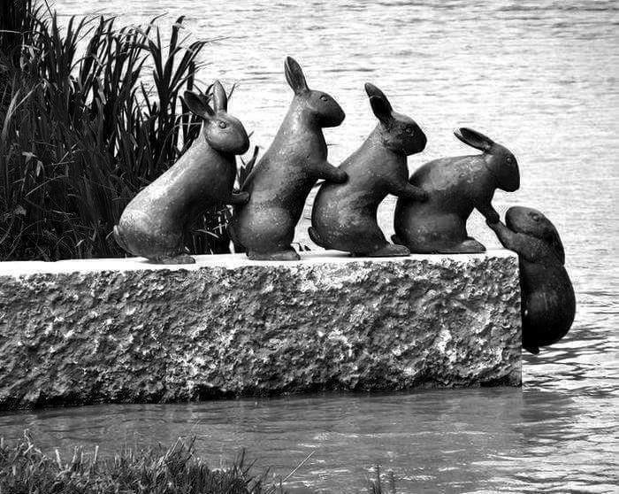 12933105_1219791048031504_2881387729611974441_n