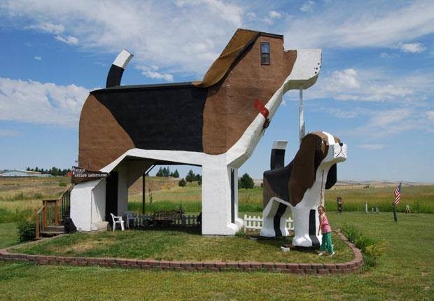 12919767_1219539634723312_5829981437038144258_n