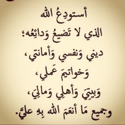 11378850_969433856442059_143529073_n