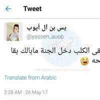 18835789_1577757702245615_5233748393476888397_n