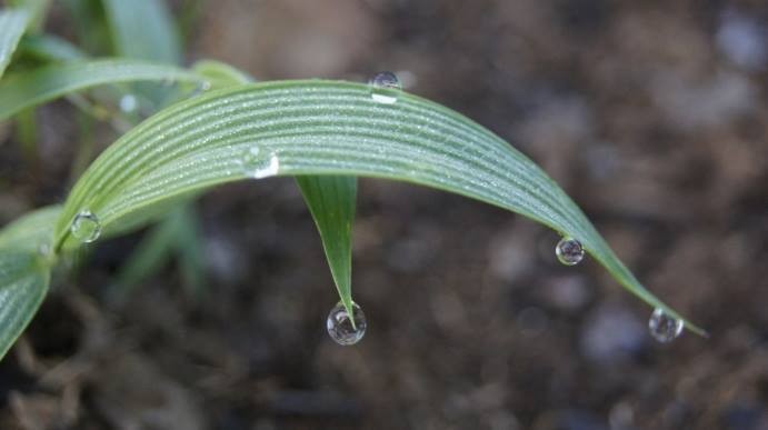 1461490_1385785318334435_1816642250_n