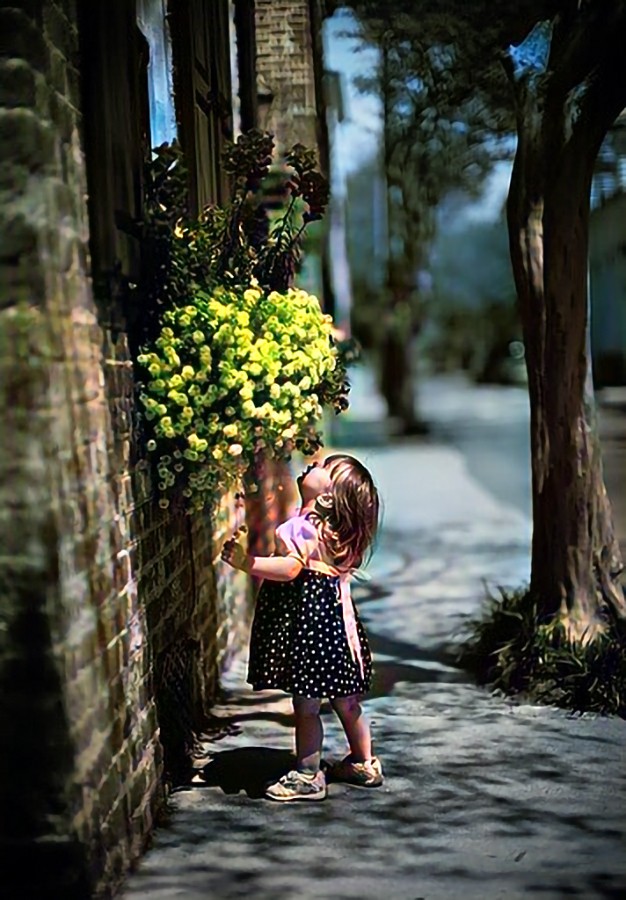 النتيجة النهائية بعد التعديل