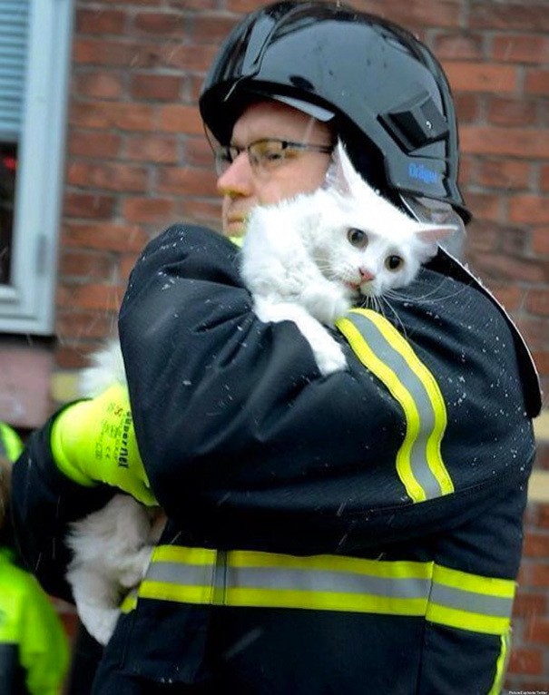 firefighters-rescuing-animals-saving-pets-42-5729ee1bb4a84__605