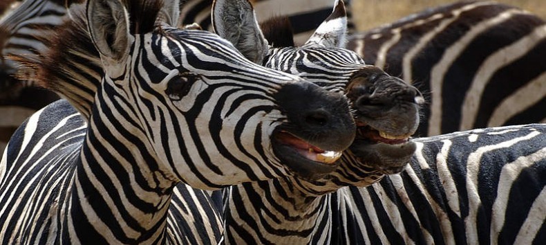 20160728-2888-7p2v0g