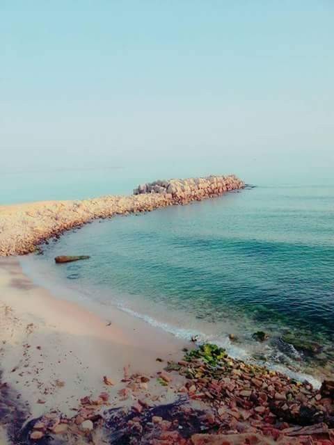 received_864481937048884