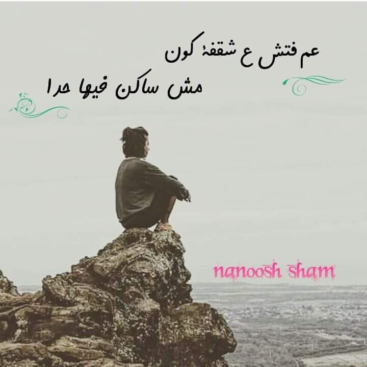 FB_IMG_1493058606015