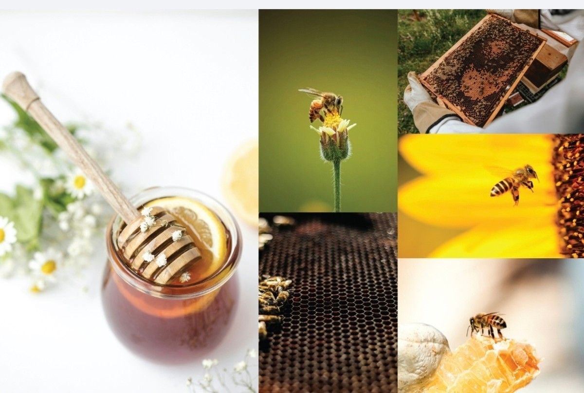 Screenshot_20250226_162524_com_hihonor_photos_SlotAlbumActivity_edit_989351289374620