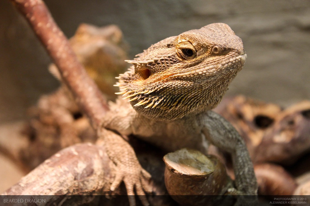 وووووووووو